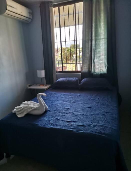 Con Dos Apartment *